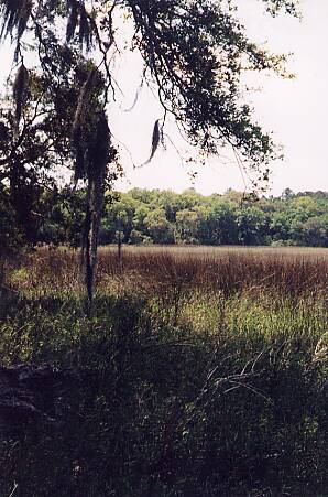 Mills Cemetery: View from Cemetery