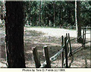 Chesser Island: Indian Mound