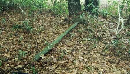 McIntosh Sugar Tabby Ruins