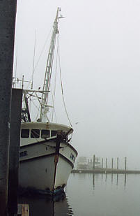 Shrimp Boat at Waterfront Dock